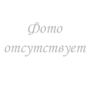 МИКСЕР ROBOT COUPE MP550 ULTRA 34820LH